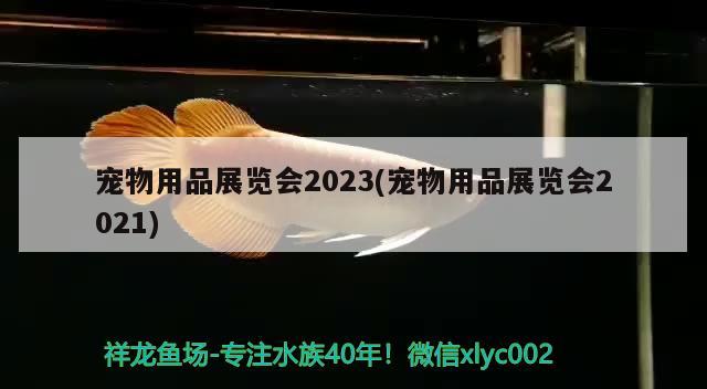 宠物用品展览会2023(宠物用品展览会2021)