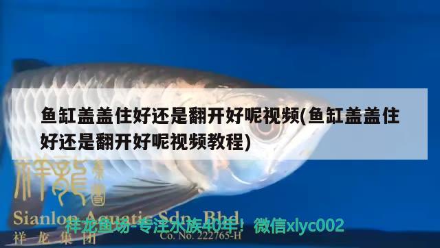 鱼缸盖盖住好还是翻开好呢视频(鱼缸盖盖住好还是翻开好呢视频教程)