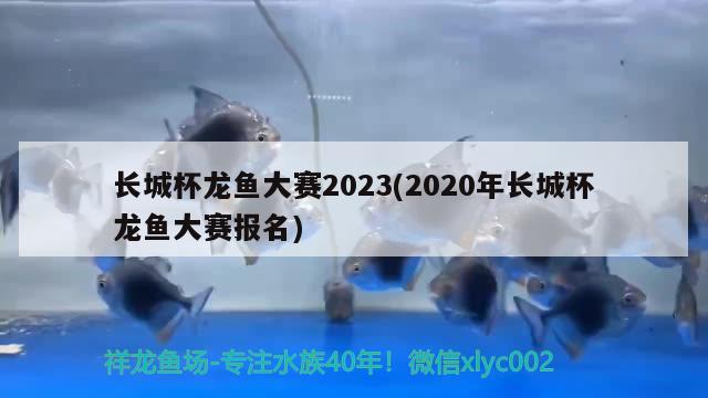 长城杯龙鱼大赛2023(2020年长城杯龙鱼大赛报名) 2024第28届中国国际宠物水族展览会CIPS（长城宠物展2024 CIPS）