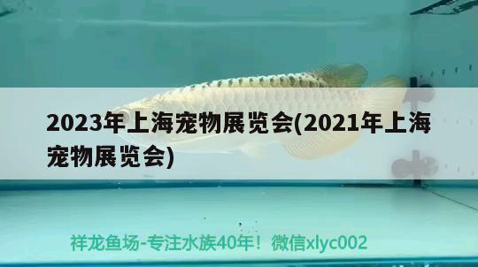 2023年上海宠物展览会(2021年上海宠物展览会) 2024第28届中国国际宠物水族展览会CIPS（长城宠物展2024 CIPS）