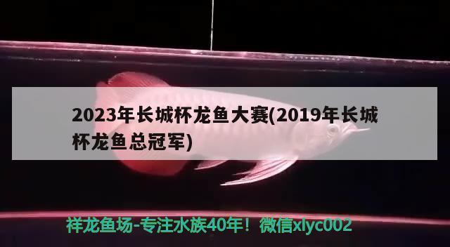 2023年长城杯龙鱼大赛(2019年长城杯龙鱼总冠军)