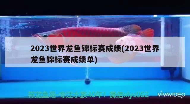 2023世界龙鱼锦标赛成绩(2023世界龙鱼锦标赛成绩单)