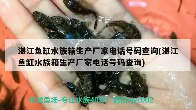 湛江鱼缸水族箱生产厂家电话号码查询(湛江鱼缸水族箱生产厂家电话号码查询) 鱼缸/水族箱