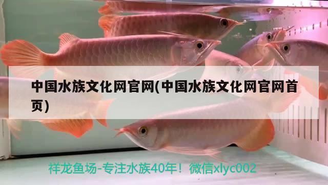 中国水族文化网官网(中国水族文化网官网首页)