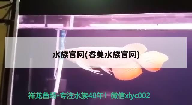 水族官网(睿美水族官网) 2024第28届中国国际宠物水族展览会CIPS（长城宠物展2024 CIPS）