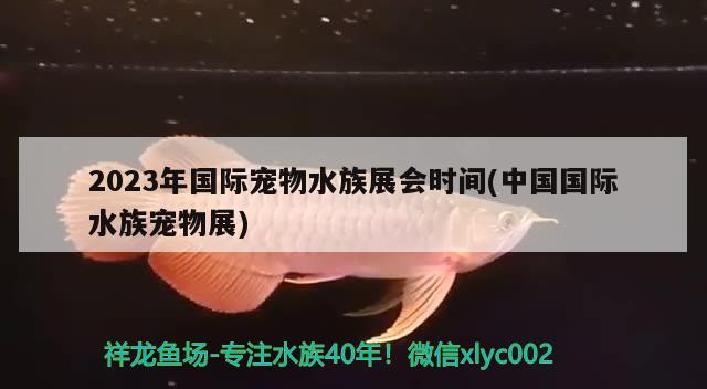 2023年国际宠物水族展会时间(中国国际水族宠物展) 水族展会