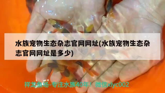 水族宠物生态杂志官网网址(水族宠物生态杂志官网网址是多少)