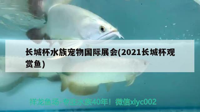 长城杯水族宠物国际展会(2021长城杯观赏鱼)