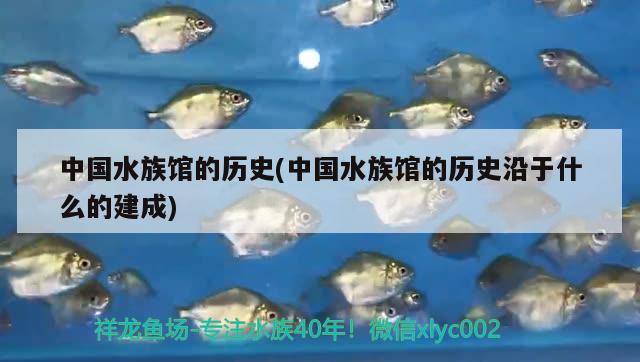 中国水族馆的历史(中国水族馆的历史沿于什么的建成)