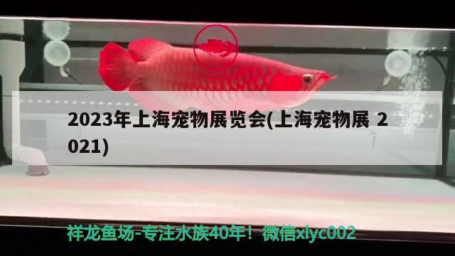 2023年上海宠物展览会(上海宠物展2021) 2024第28届中国国际宠物水族展览会CIPS（长城宠物展2024 CIPS）