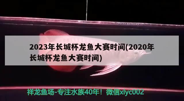 2023年长城杯龙鱼大赛时间(2020年长城杯龙鱼大赛时间)