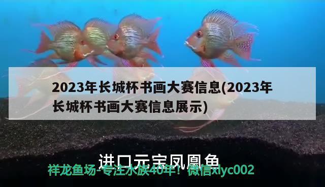 2023年长城杯书画大赛信息(2023年长城杯书画大赛信息展示)