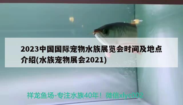 2023中国国际宠物水族展览会时间及地点介绍(水族宠物展会2021)