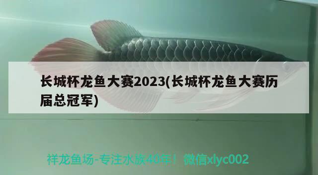 长城杯龙鱼大赛2023(长城杯龙鱼大赛历届总冠军) 2024第28届中国国际宠物水族展览会CIPS（长城宠物展2024 CIPS）