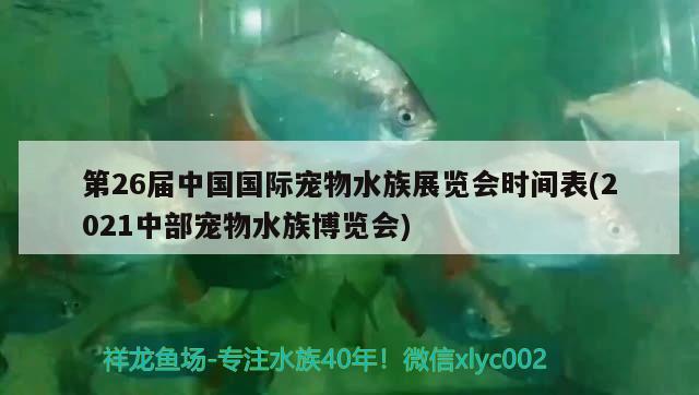 第26届中国国际宠物水族展览会时间表(2021中部宠物水族博览会) 水族展会