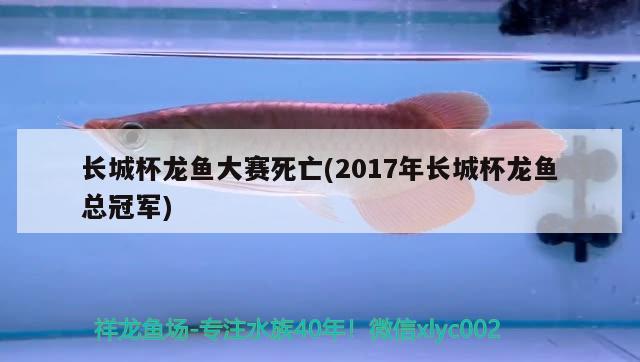 长城杯龙鱼大赛死亡(2017年长城杯龙鱼总冠军) 2024第28届中国国际宠物水族展览会CIPS（长城宠物展2024 CIPS）