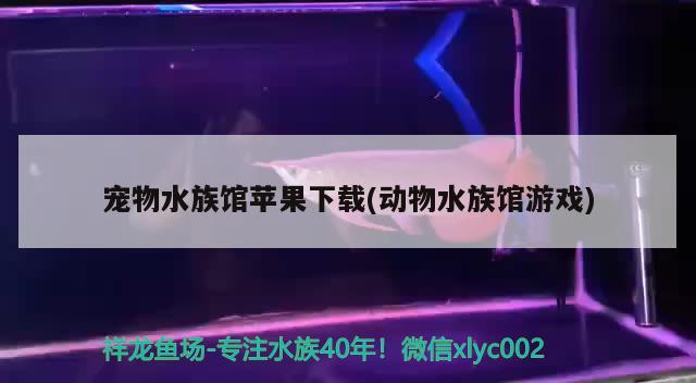 宠物水族馆苹果下载(动物水族馆游戏) 2024第28届中国国际宠物水族展览会CIPS（长城宠物展2024 CIPS） 第2张