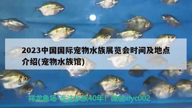 2023中国国际宠物水族展览会时间及地点介绍(宠物水族馆)