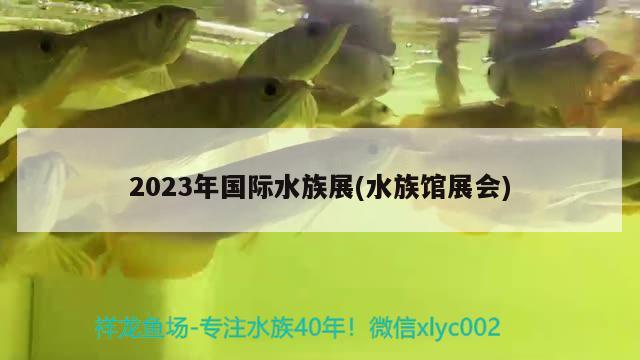 2023年国际水族展(水族馆展会)