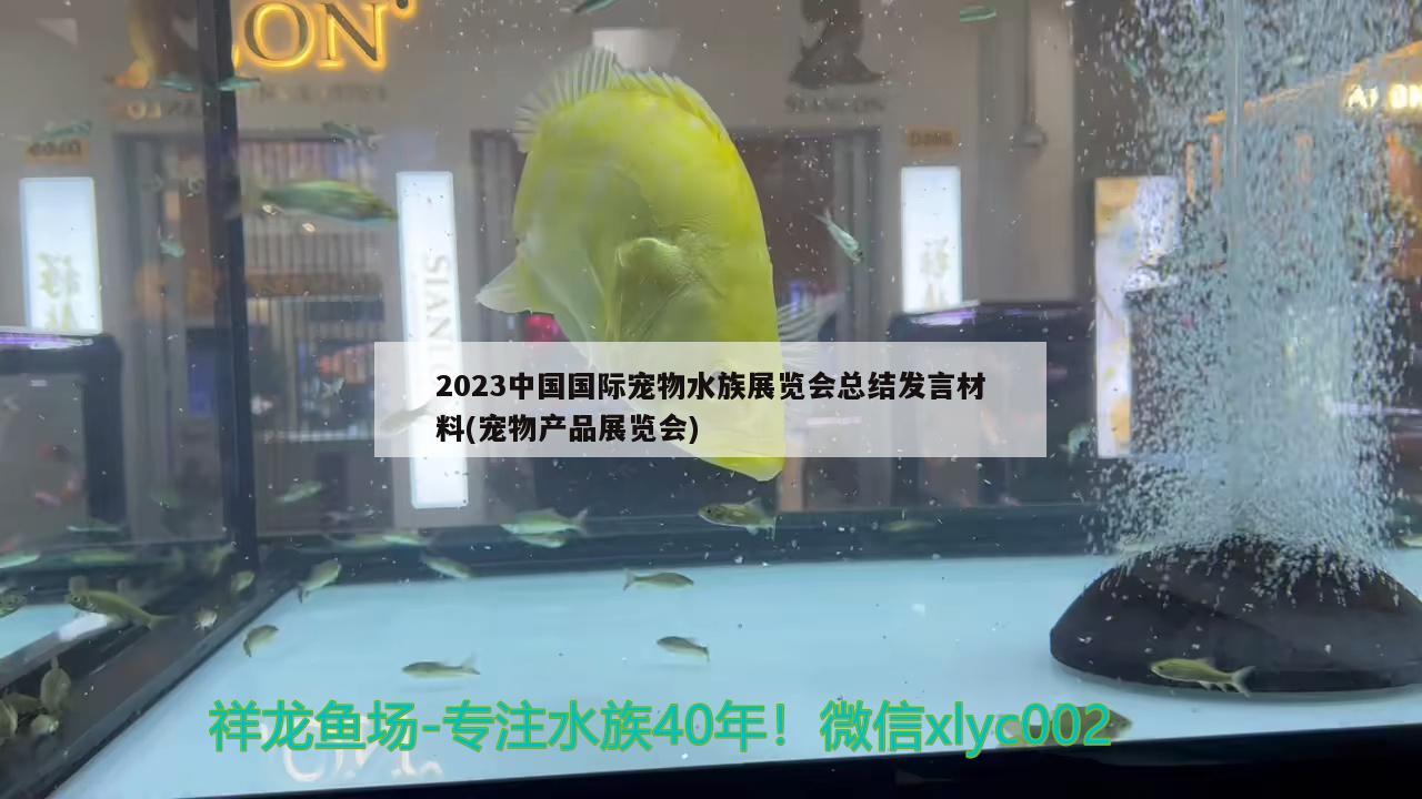 2023中国国际宠物水族展览会总结发言材料(宠物产品展览会) 水族展会