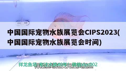 中国国际宠物水族展览会CIPS2023(中国国际宠物水族展览会时间)