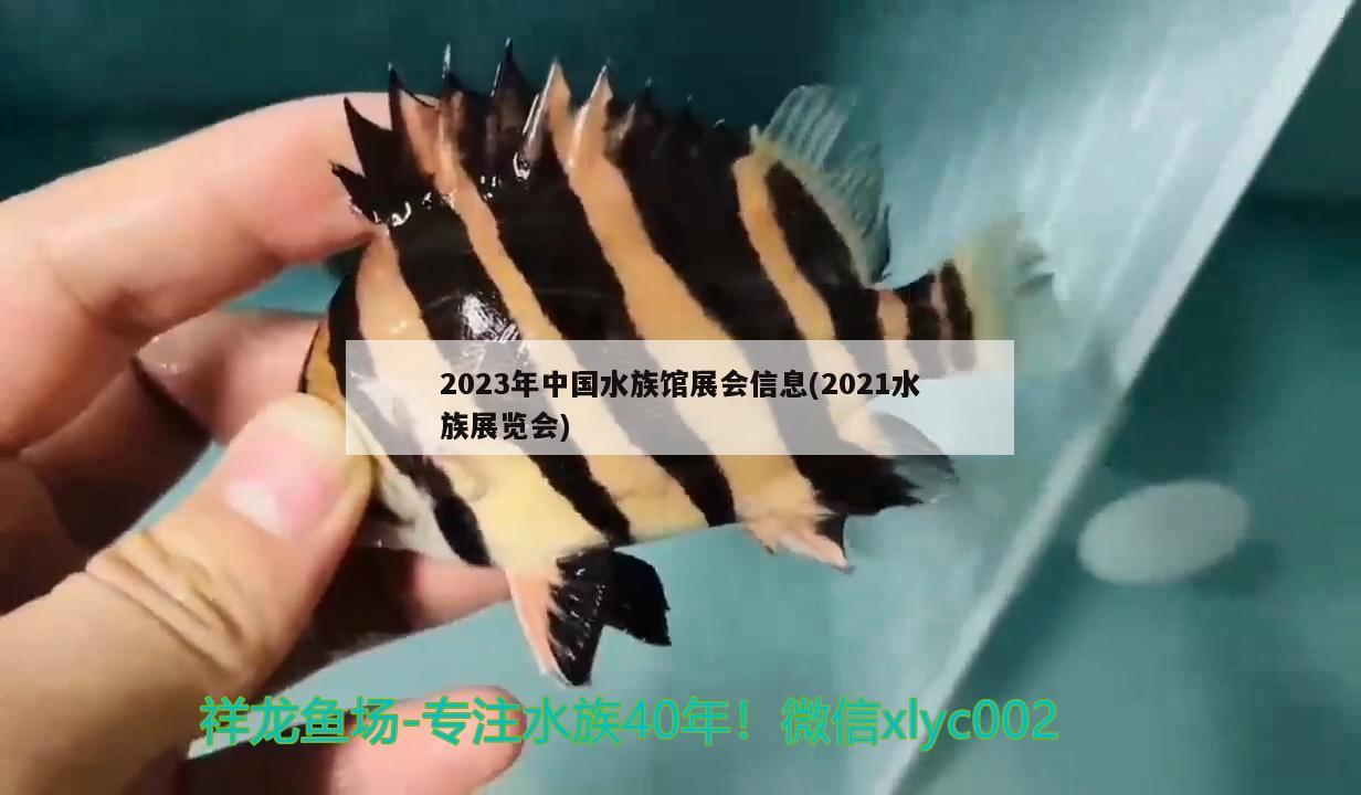 2023年中国水族馆展会信息(2021水族展览会) 水族展会 第1张