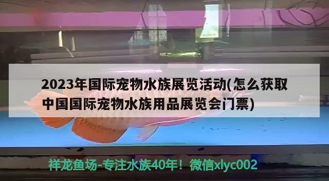 2023年国际宠物水族展览活动(怎么获取中国国际宠物水族用品展览会门票)