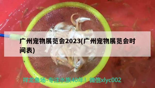 广州宠物展览会2023(广州宠物展览会时间表)