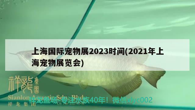 上海国际宠物展2023时间(2021年上海宠物展览会)