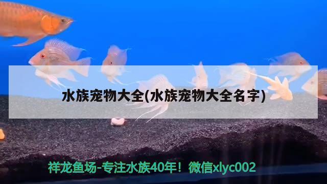 水族宠物大全(水族宠物大全名字) 2024第28届中国国际宠物水族展览会CIPS（长城宠物展2024 CIPS） 第3张