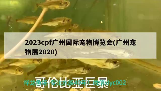 2023cpf广州国际宠物博览会(广州宠物展2020) 2024第28届中国国际宠物水族展览会CIPS（长城宠物展2024 CIPS）