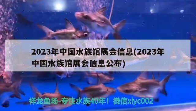 2023年中国水族馆展会信息(2023年中国水族馆展会信息公布)