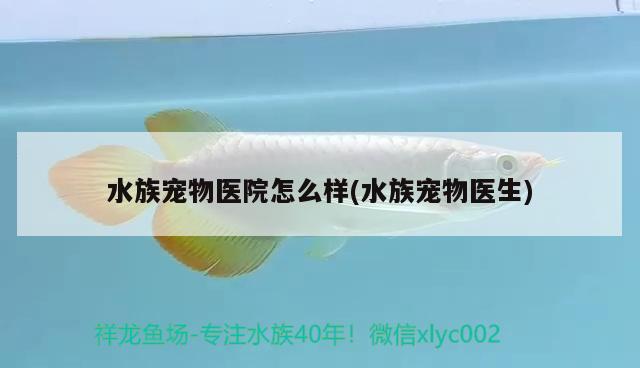 水族宠物医院怎么样(水族宠物医生) 2024第28届中国国际宠物水族展览会CIPS（长城宠物展2024 CIPS）