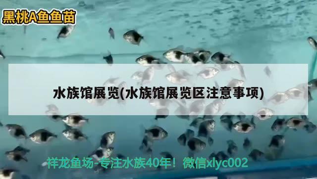 水族馆展览(水族馆展览区注意事项)