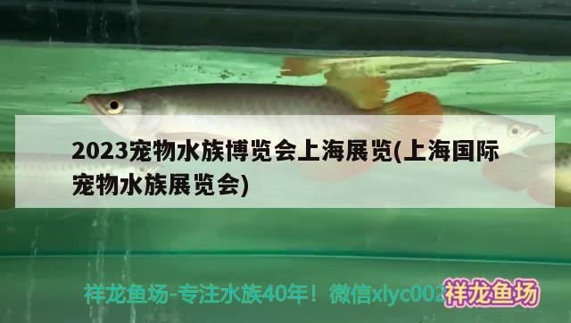 2023宠物水族博览会上海展览(上海国际宠物水族展览会)