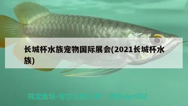 长城杯水族宠物国际展会(2021长城杯水族)