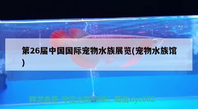 第26届中国国际宠物水族展览(宠物水族馆)