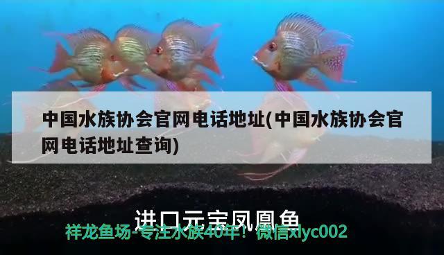 中国水族协会官网电话地址(中国水族协会官网电话地址查询)