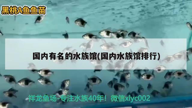 国内有名的水族馆(国内水族馆排行) 2024第28届中国国际宠物水族展览会CIPS（长城宠物展2024 CIPS）