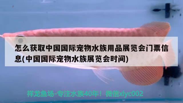 怎么获取中国国际宠物水族用品展览会门票信息(中国国际宠物水族展览会时间) 水族展会