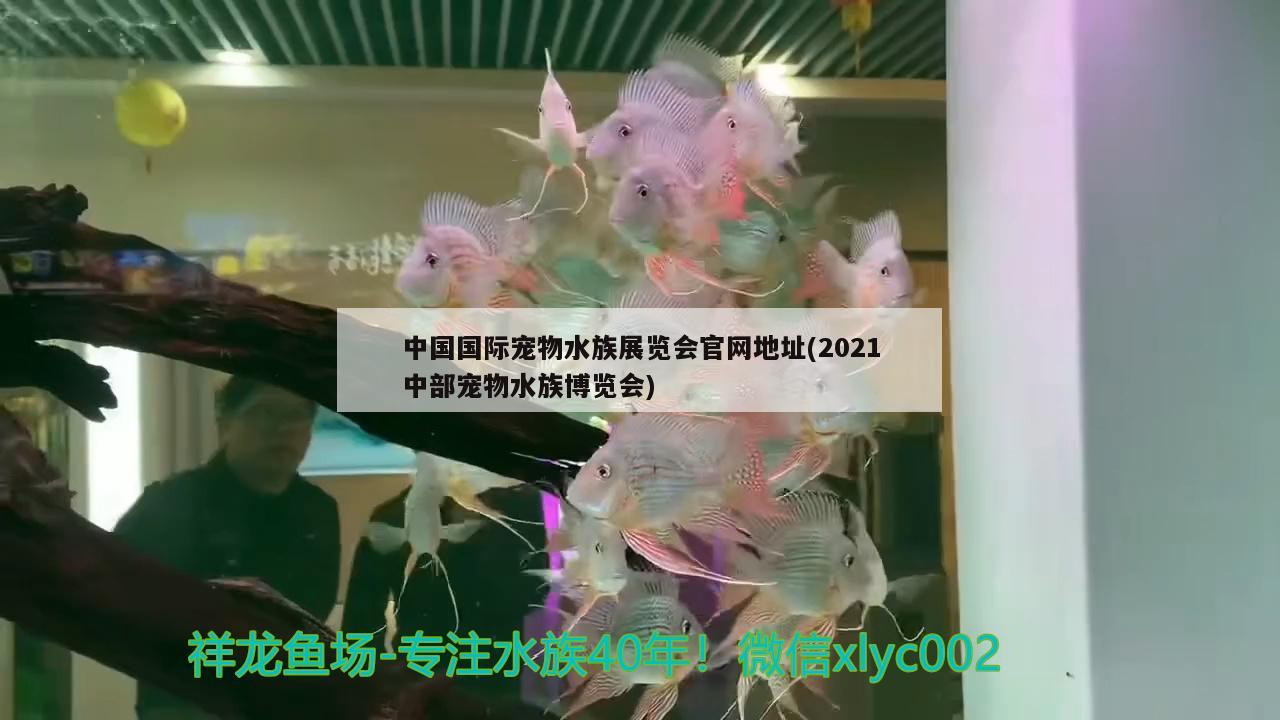 中国国际宠物水族展览会官网地址(2021中部宠物水族博览会)