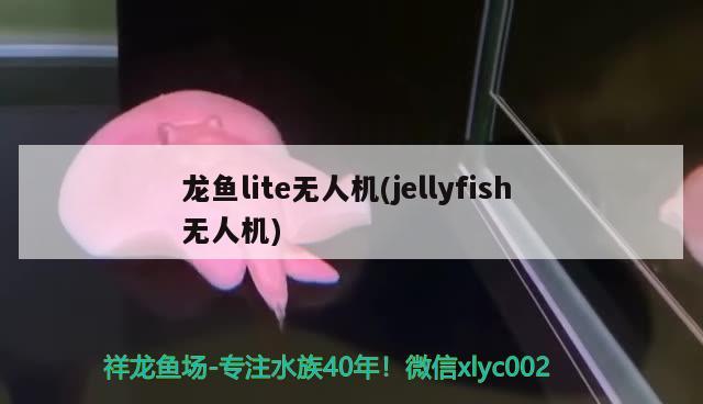 龙鱼lite无人机(jellyfish无人机) 2024第28届中国国际宠物水族展览会CIPS（长城宠物展2024 CIPS）