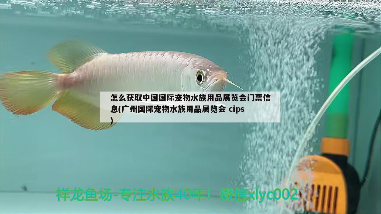 怎么获取中国国际宠物水族用品展览会门票信息(广州国际宠物水族用品展览会cips) 水族用品