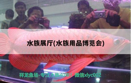 水族展厅(水族用品博览会)