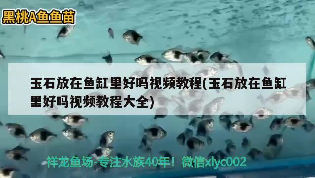 玉石放在鱼缸里好吗视频教程(玉石放在鱼缸里好吗视频教程大全)