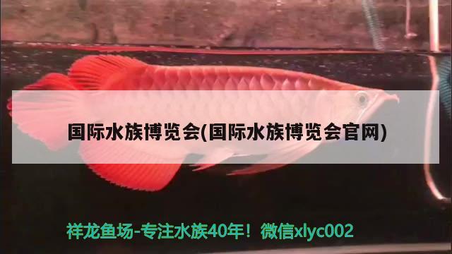 国际水族博览会(国际水族博览会官网) 2024第28届中国国际宠物水族展览会CIPS（长城宠物展2024 CIPS）