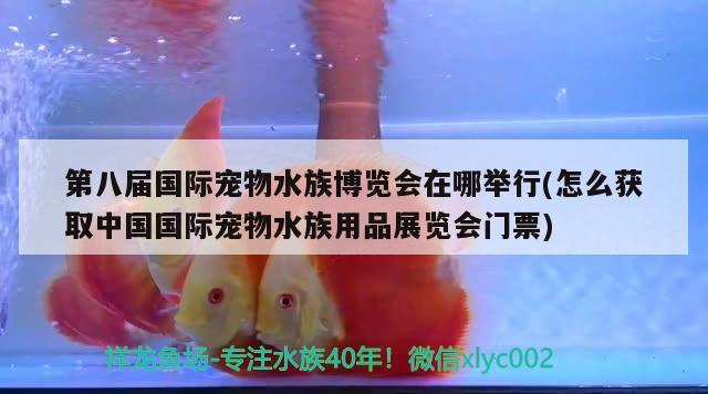 第八届国际宠物水族博览会在哪举行(怎么获取中国国际宠物水族用品展览会门票)