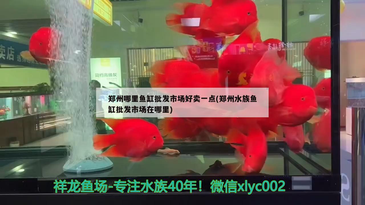 郑州哪里鱼缸批发市场好卖一点(郑州水族鱼缸批发市场在哪里) 祥龙龙鱼专用水族灯