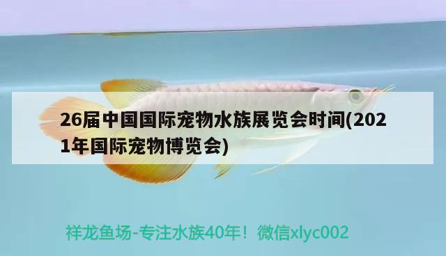 26届中国国际宠物水族展览会时间(2021年国际宠物博览会)