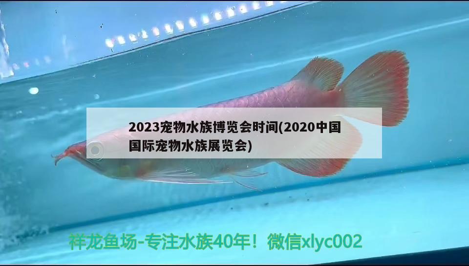 2023宠物水族博览会时间(2020中国国际宠物水族展览会) 水族展会